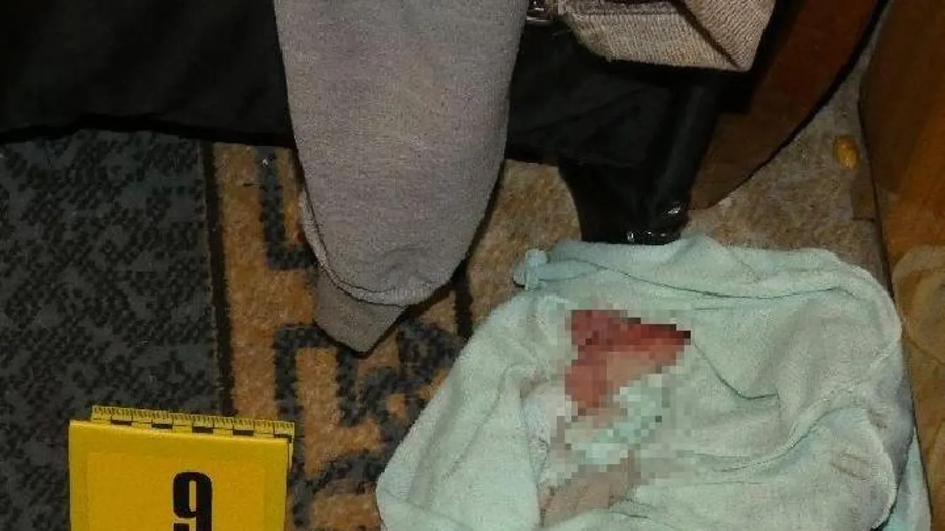 Újabb csecsemő halt meg, anyja megszülte majd a fészerbe dobta