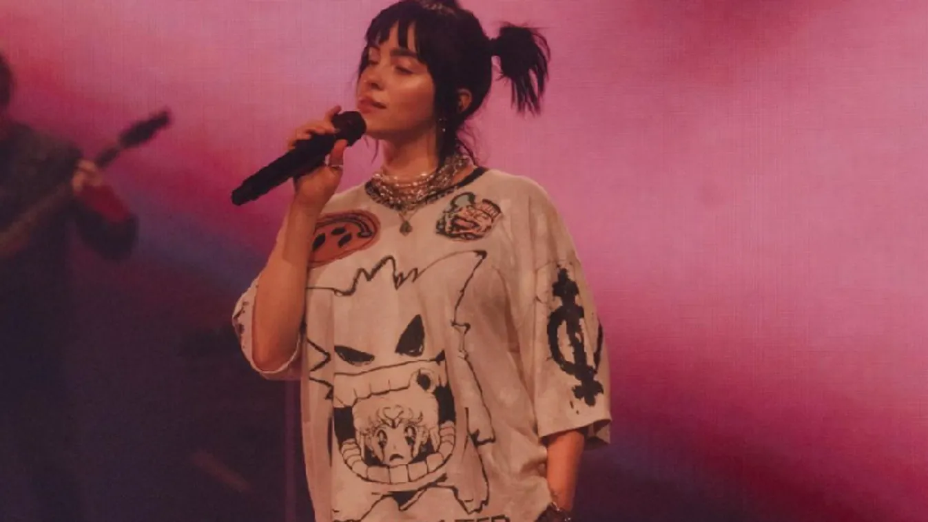 Az énekesnő leállította a koncertjét, hogy egy rosszul lévő rajongónak segítsen