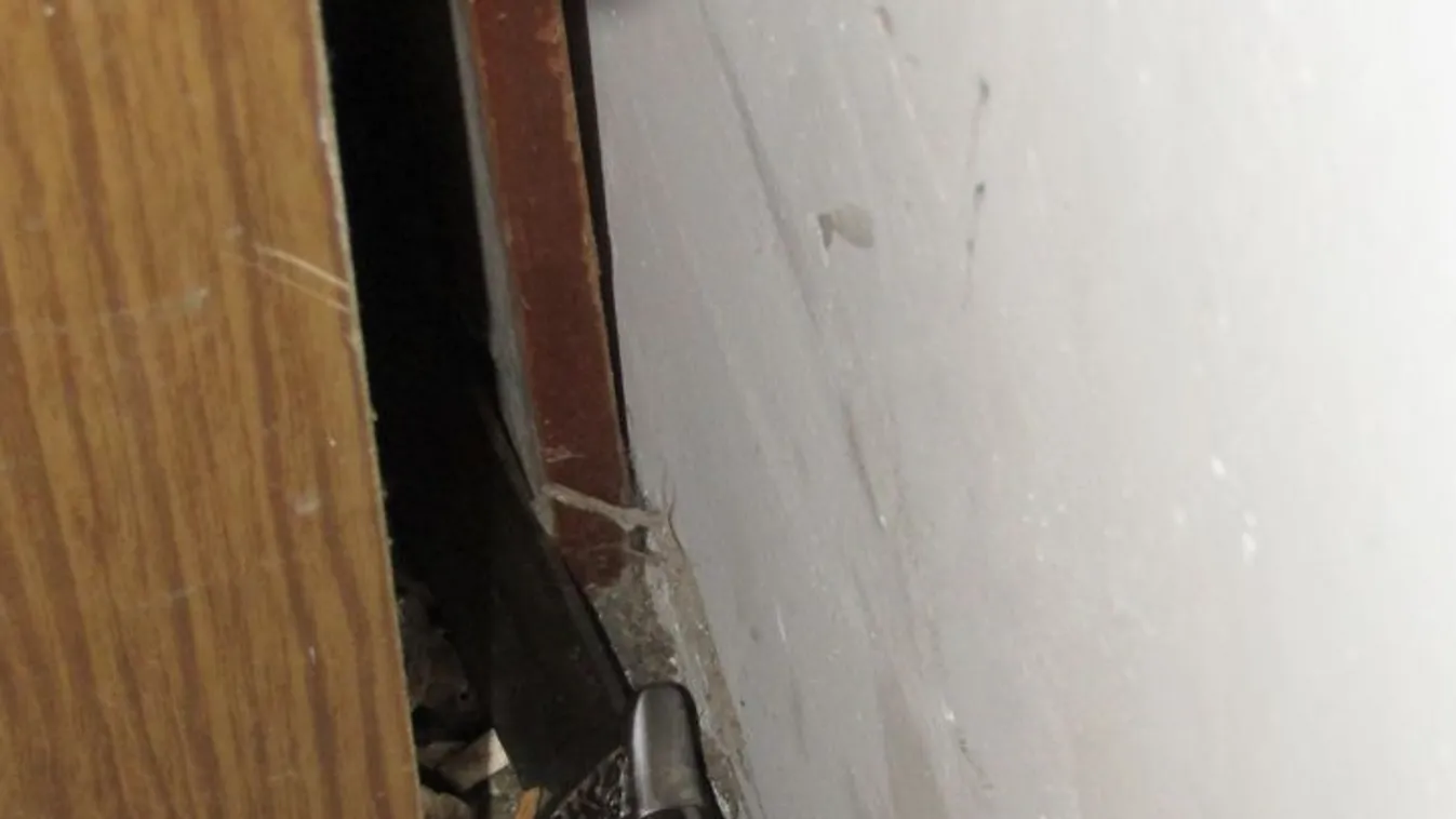 Vadászkéssel esett munkatársa nyakának