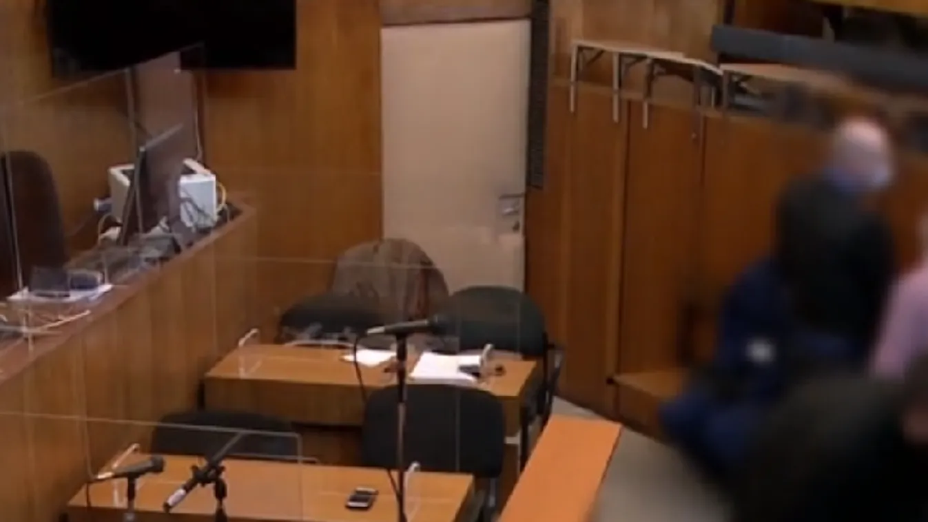 Kegyetlenül meggyilkolta édesanyját, elítélték