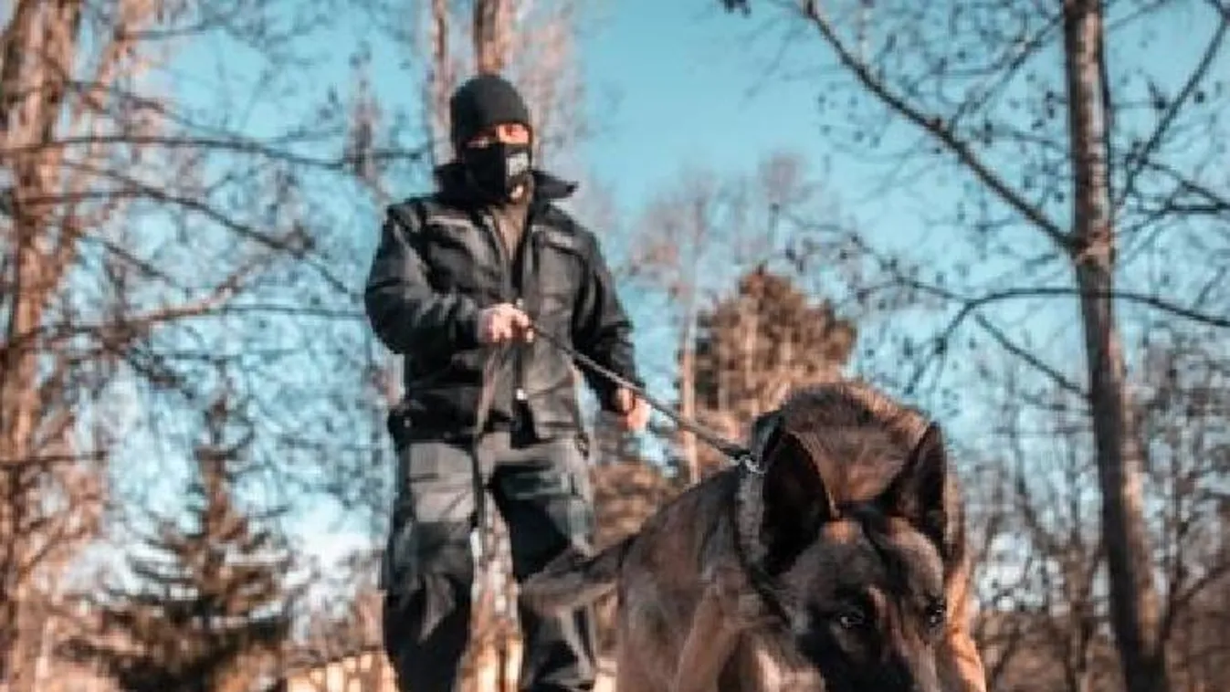 TV-szerelőnek adta ki magát az ékszertolvaj, rendőrkutya kapta el