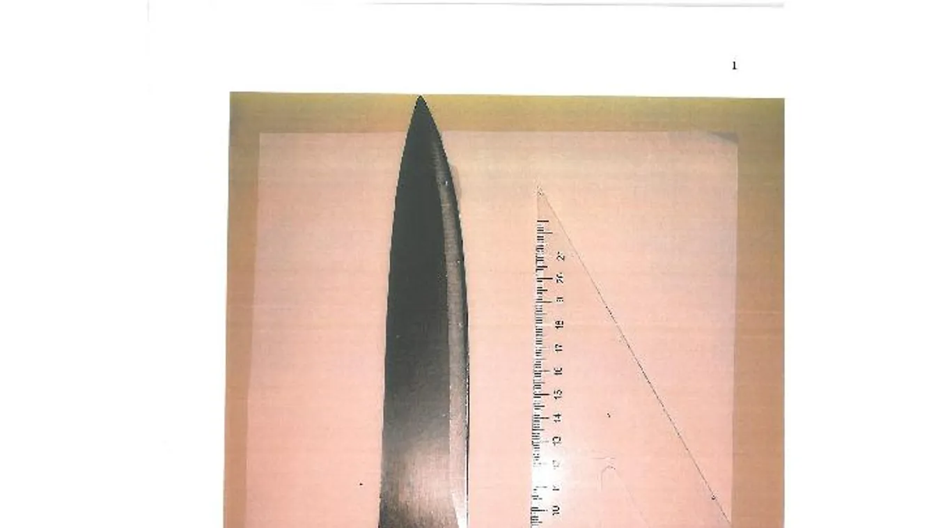 Részegen, felfegyverkezve indult el megölni testvérét egy nő