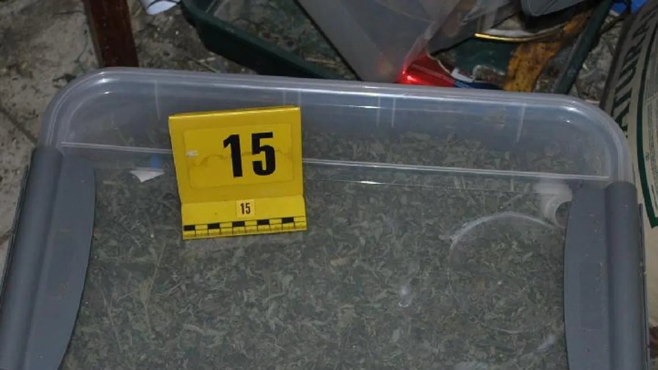 Ládákban tárolta, annyi drogot termesztett