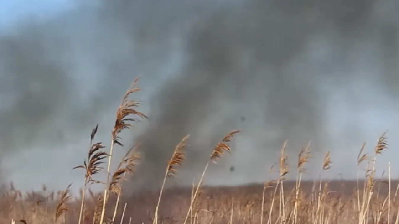 Több hektárnyi terület lángolt Kállósemjénben