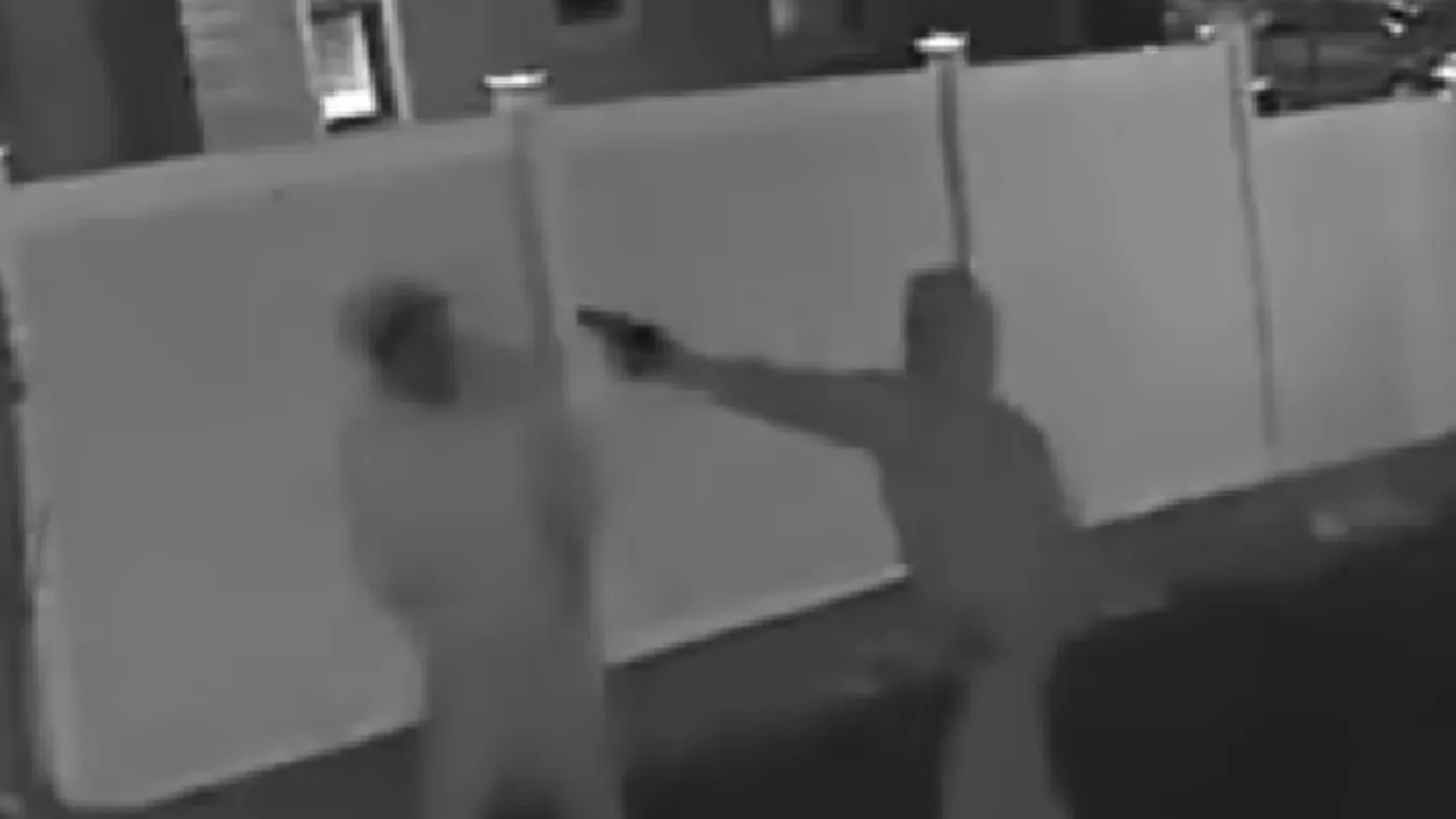 Sétálgatás közben végezte ki a fiatal zenészt ismerőse