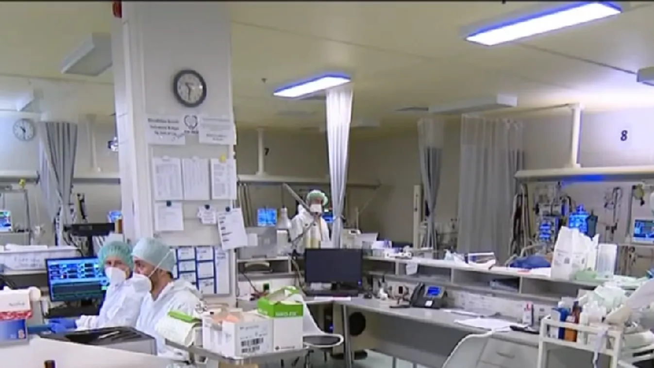 A világon először fertőzött embert a H3N8 vírus