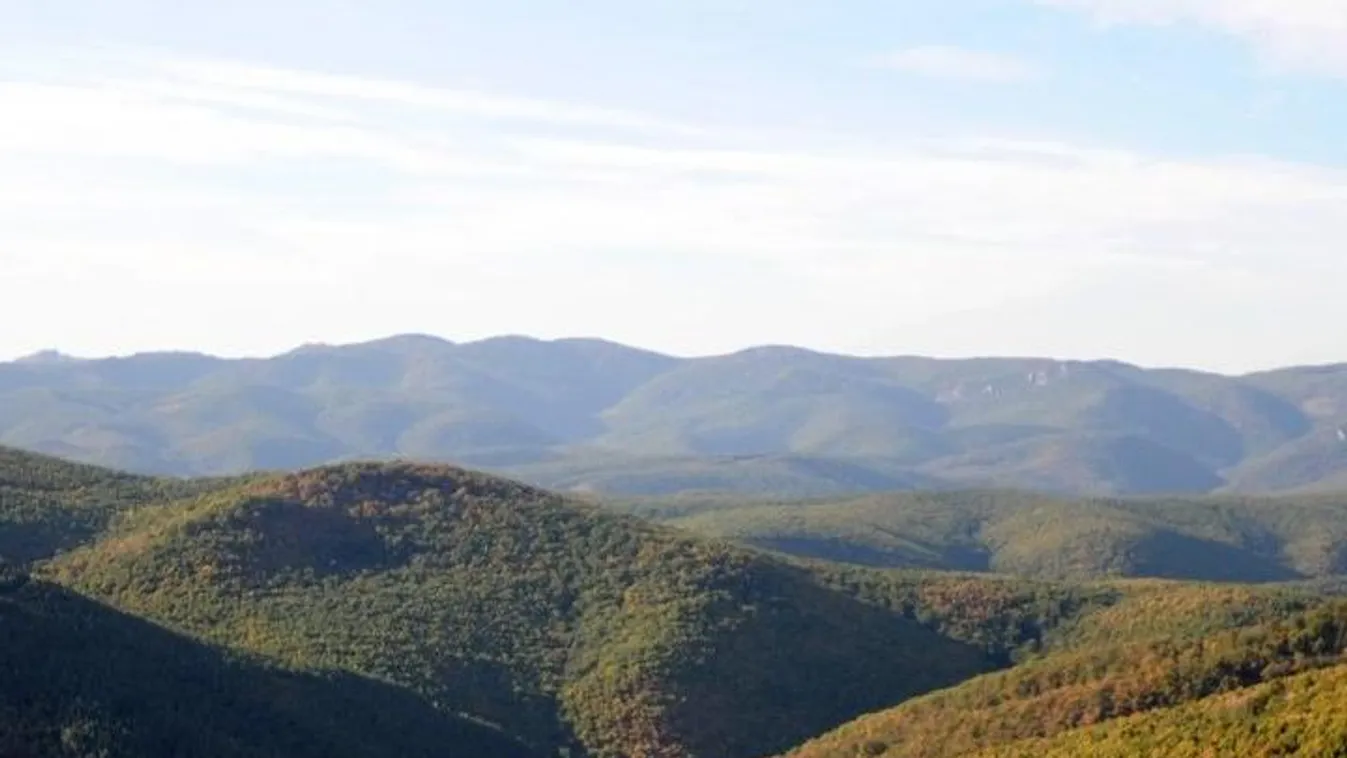 Eltűnt három kisgyerek a Bükkben