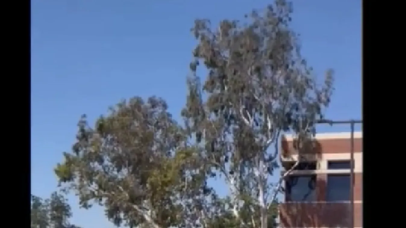 Gyerekek sérültek meg egy rendőrségi bemutatón - Videó