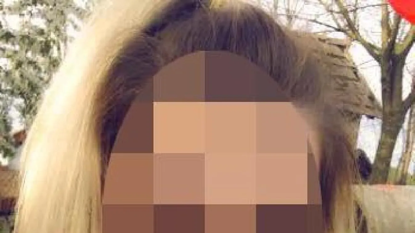 Jobbikos bűntanyáról beszélt az erőszakos ügy sértettje: „Fenyegetett, hogy el ne mondjam senkinek”