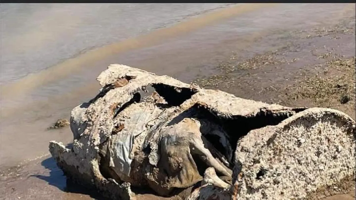 Hordóba rejtett holttestet találtak egy leapadt tóban