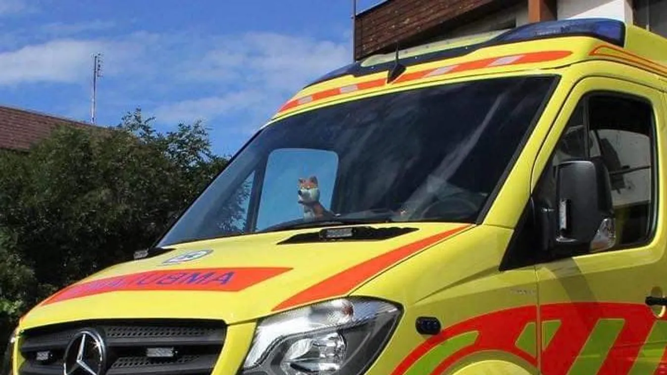 Horgászat közben mentette meg apja életét a kisgyerek