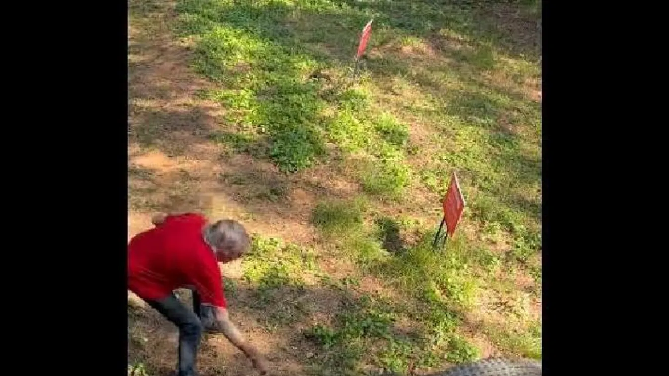 Serpenyővel kergette el a krokodilt a felbőszült kocsmáros - Videó
