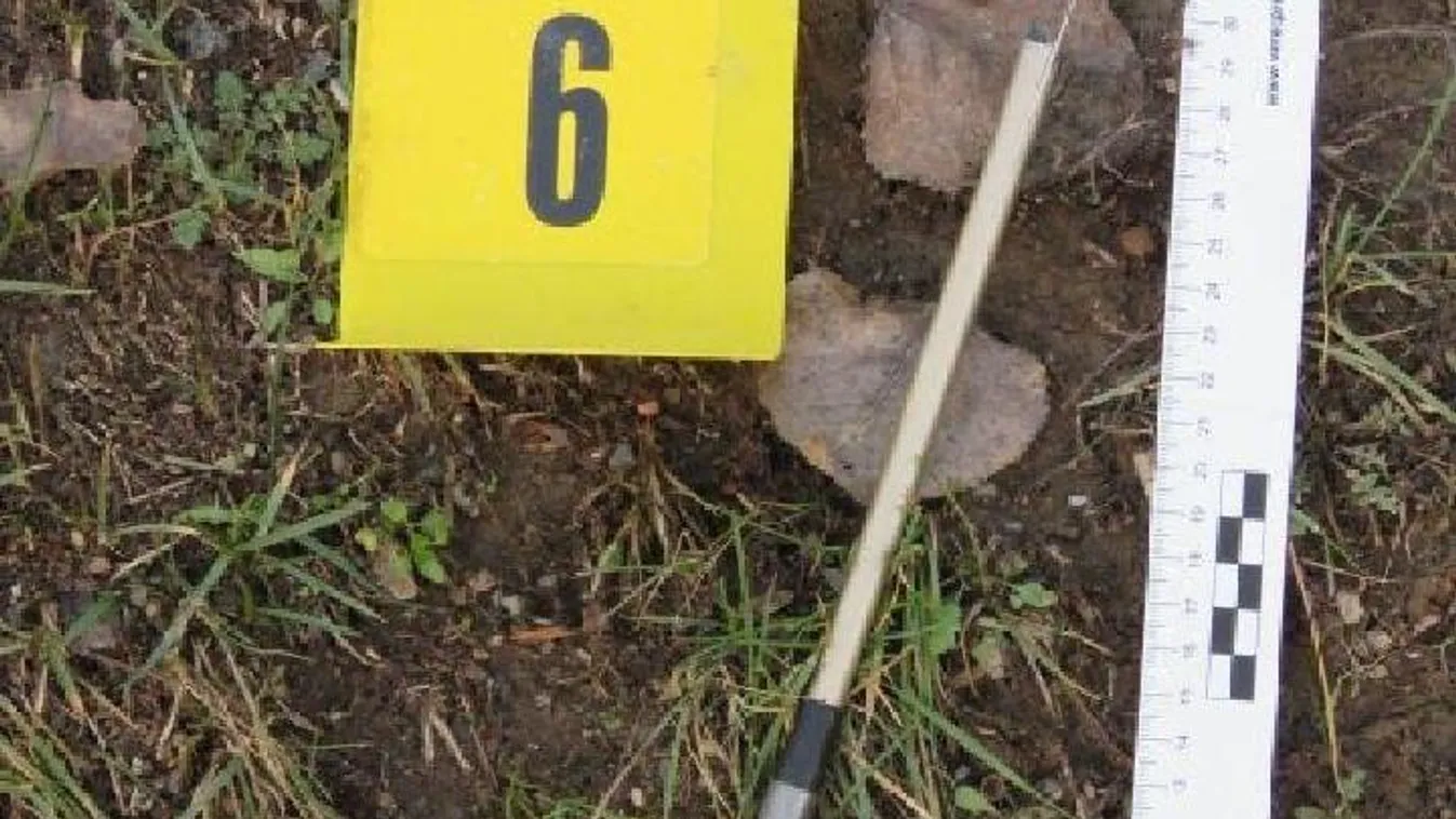 Fejszenyelekkel és golfütőkkel támadt egymást két család