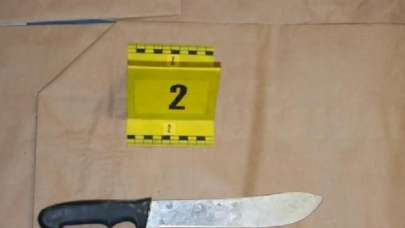 Csak bort akart lopni, de végül majdnem elvágta a férfi nyakát