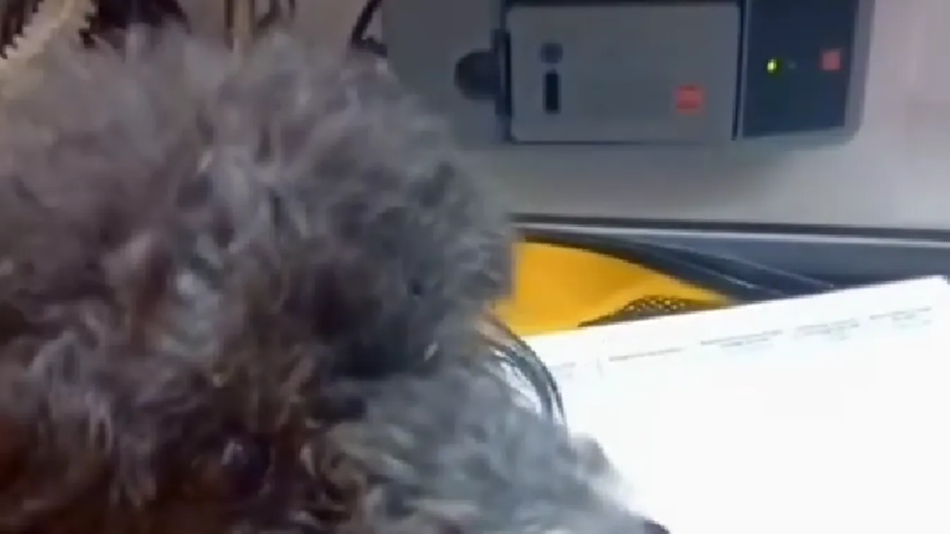 Pogácsát is megmentették a tűzből - videó