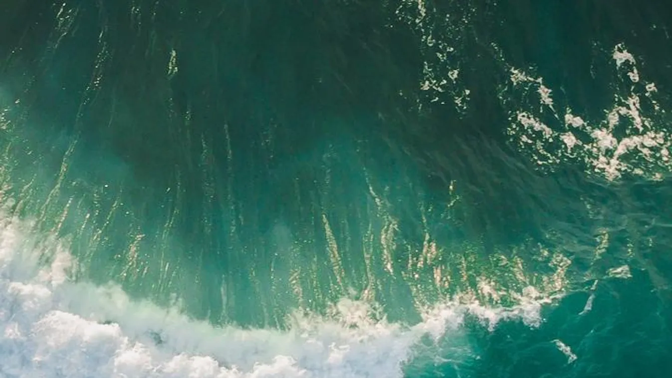 Gyerekeiket akarták megmenteni, az életükbe került