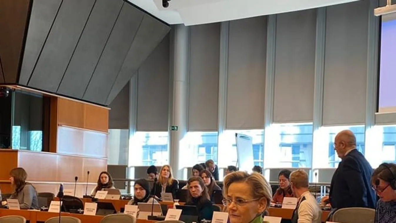 Győri Enikő: a szankciók olyan hatóanyag, amelytől Európa lesz rosszul