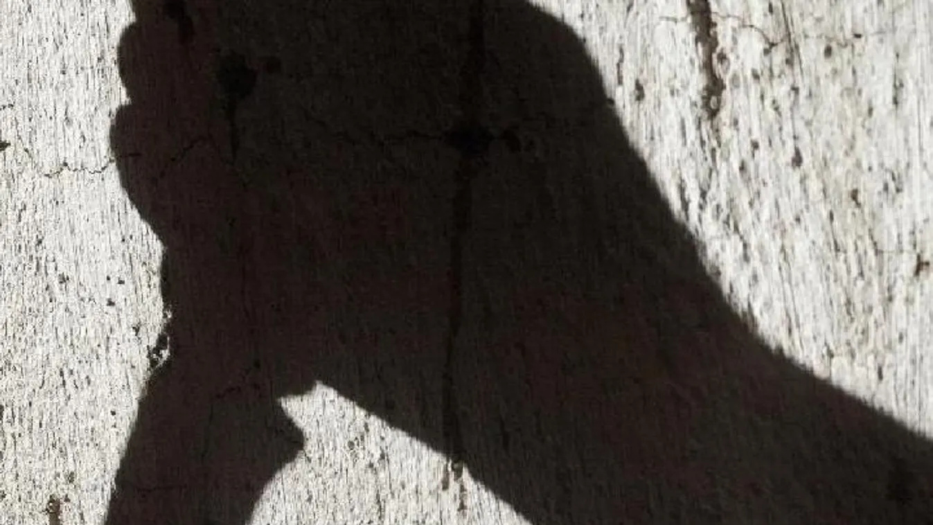 Vadászkéssel végezte ki szállásadóját az óbudai gyilkos