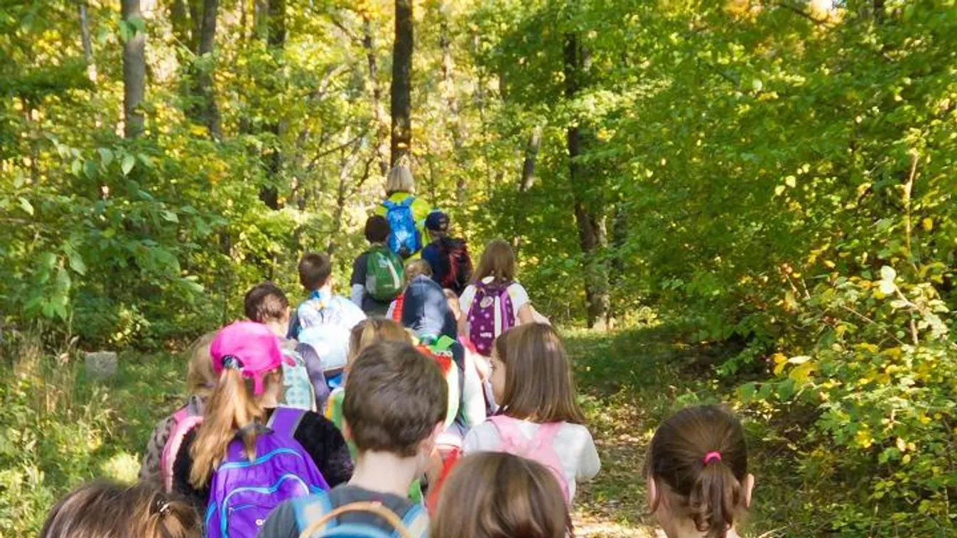 Vándortábor extra: új programsorozat indul iskolásoknak