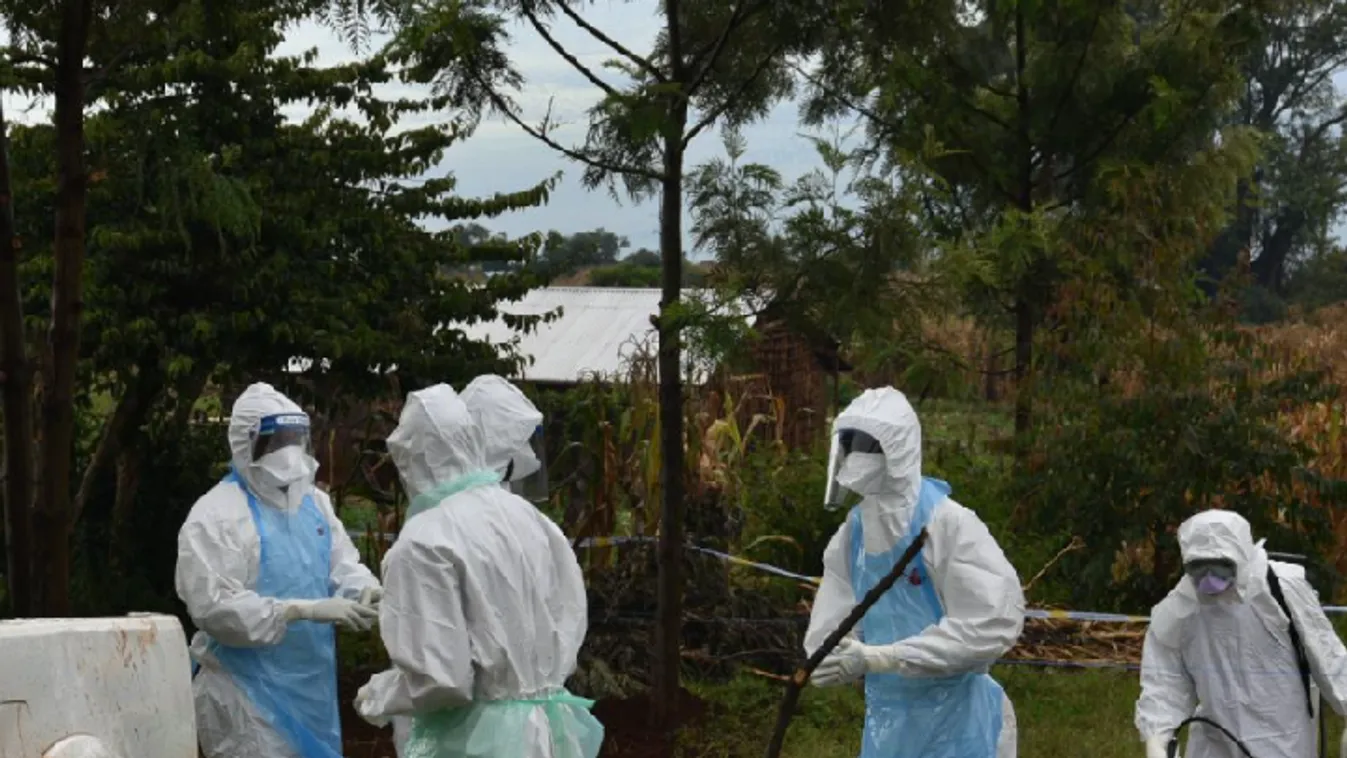 Egyre több az áldozata a vérzéses lázzal járó vírusnak