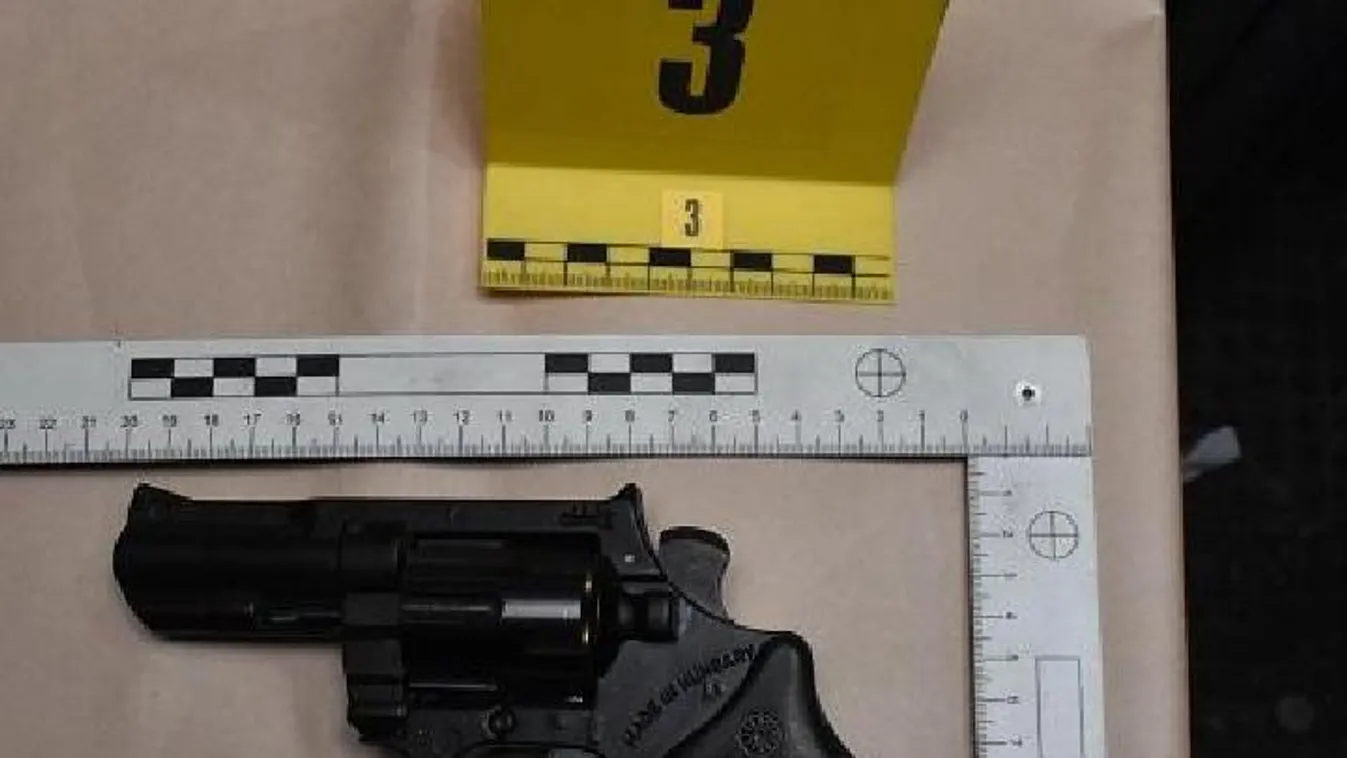 Pisztollyal is meglőtte áldozatát a tatabányai késelő - fotók