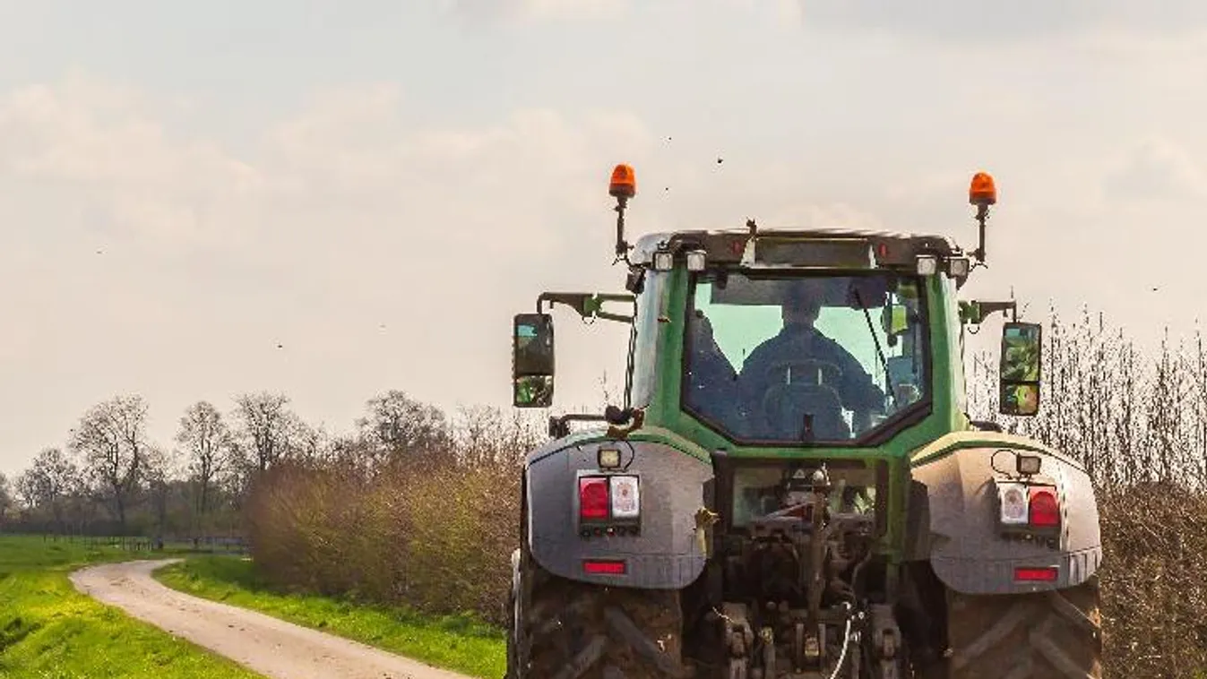 Cserbenhagyásos karmolás Vasváron, vita után folyt a vér