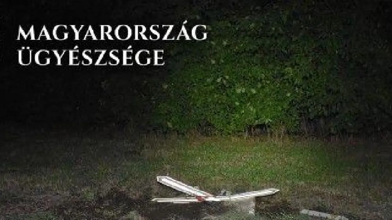 A vasúti fénysorompó lett az áldozata az ittas vezetésnek - fotók