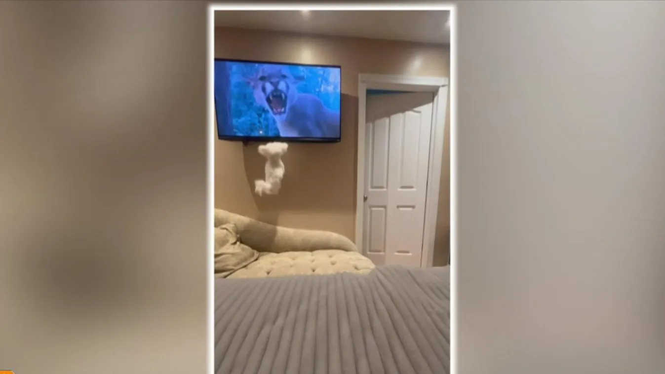 El a mancsokkal a távirányítótól!