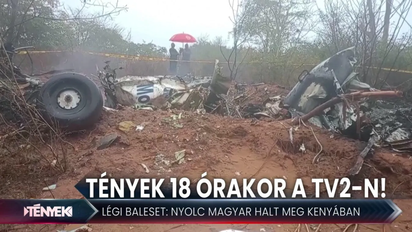 Nyolc magyar halt meg a repülőgép-balesetben - Tények 18.00