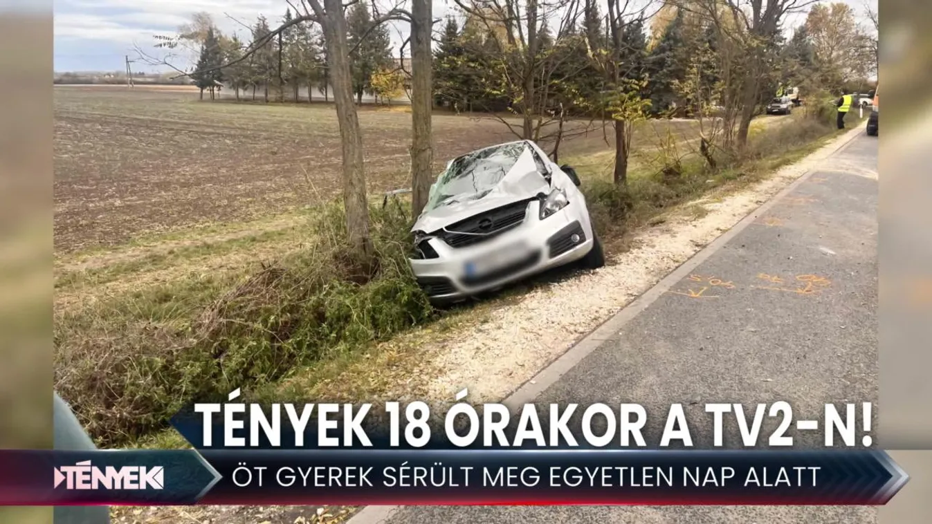 Hátranézett a sofőr, lesodródott az útról - Tények 18.00
