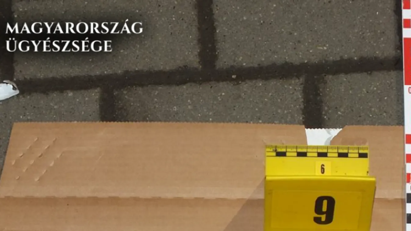 Vadásztőrrel mellkason szúrta bérlőjét egy férfi Dunakeszin