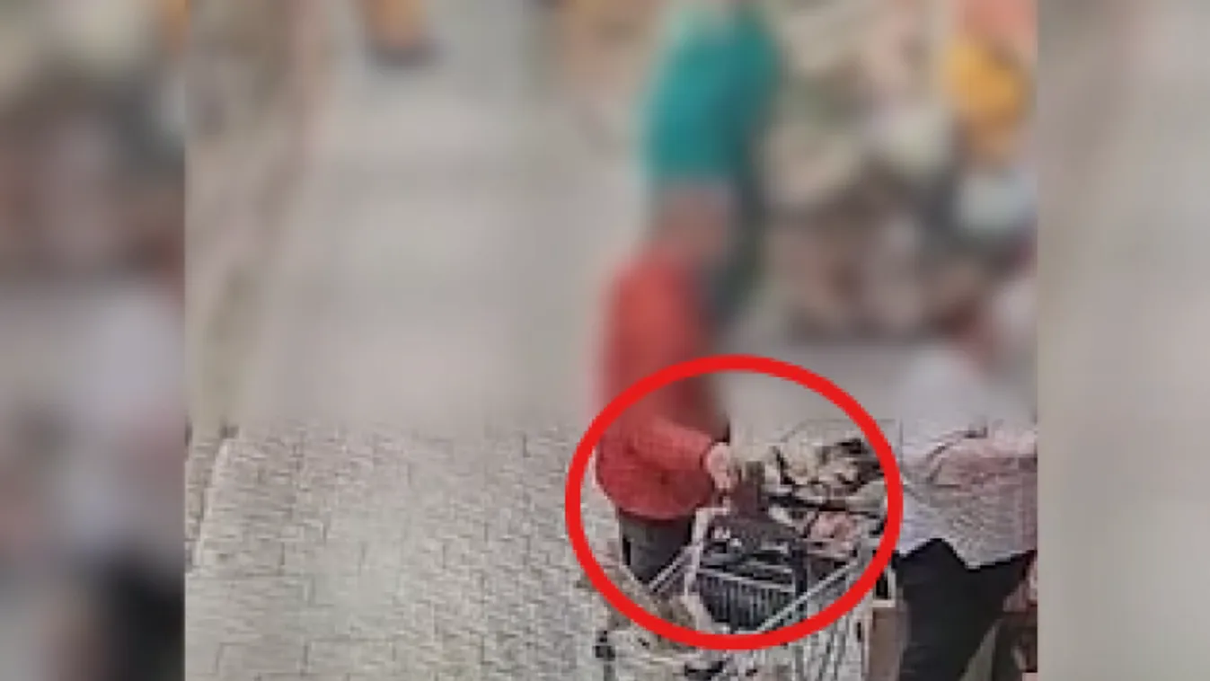 Végig lopták az országot a pénztárca tolvajok