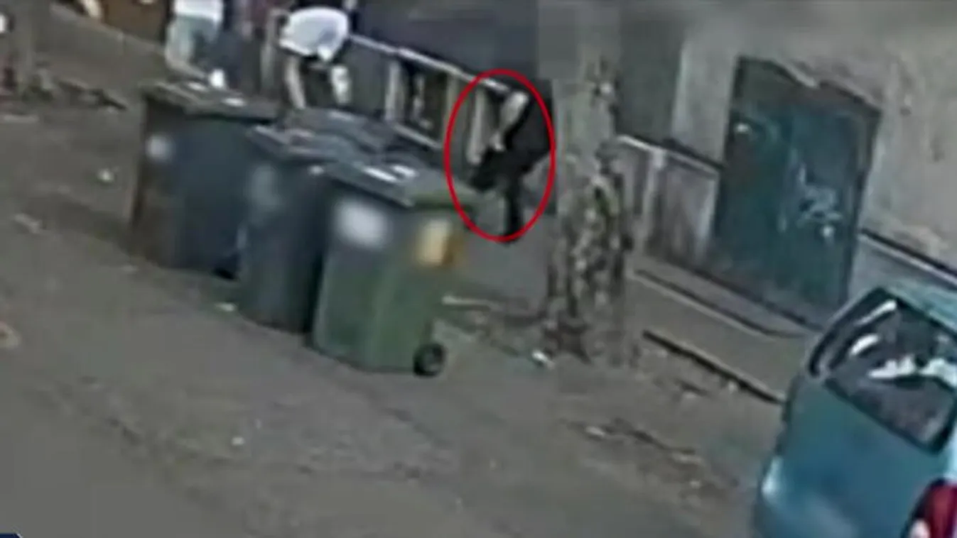 Viperával, szamurájkarddal rabolták el