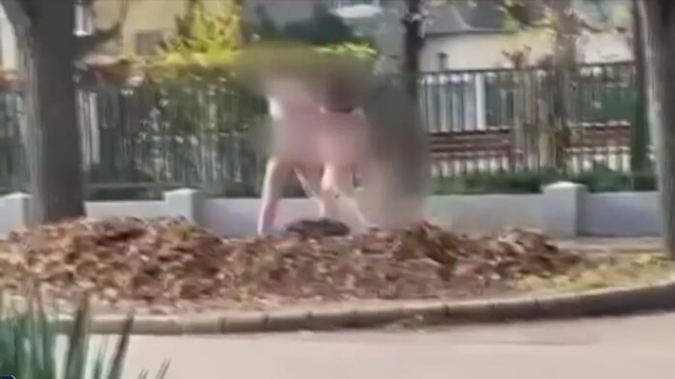 Meztelenül sétáltak Debrecenben