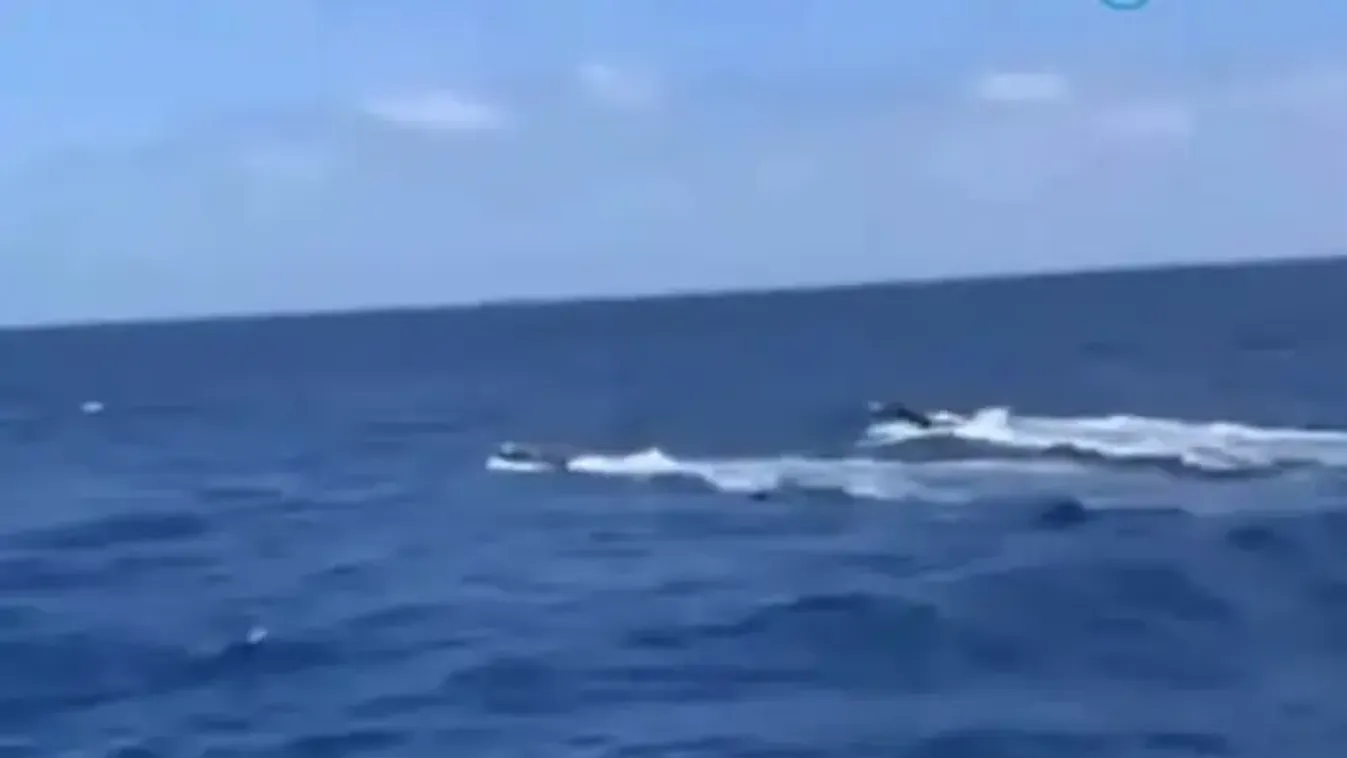 Tengeralattjárón foglaltak le 1,7 tonna kokaint az Atlanti-óceánon