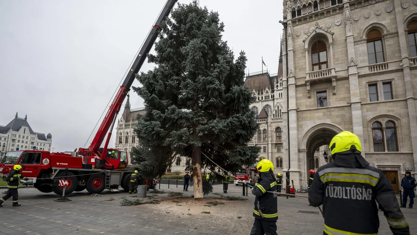 Felállították az ország karácsonyfáját