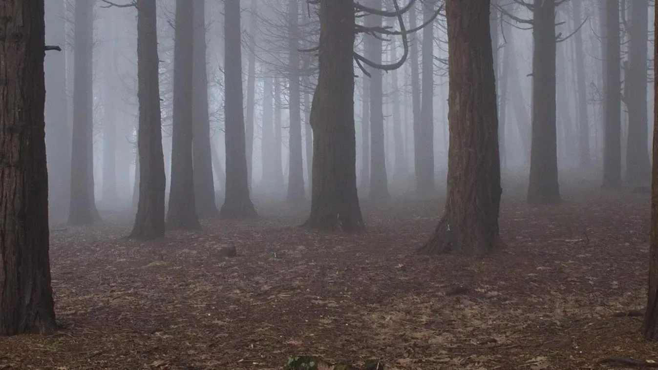 Zalai munkabaleset: Kiderült, mi volt az áldozat utolsó kívánsága