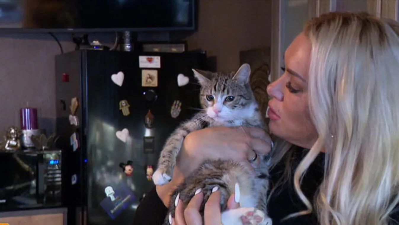 Macskamániám van, és?