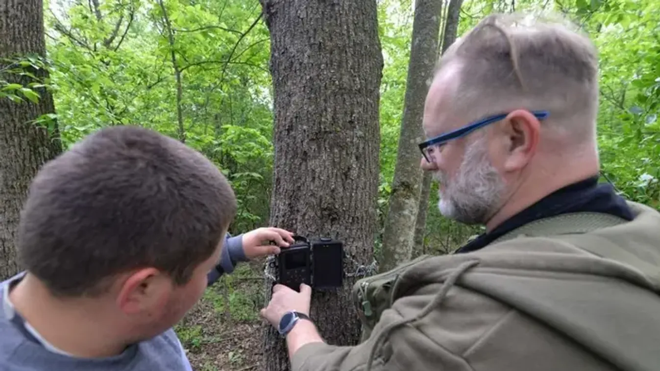Egészen különös lény bukkant fel az ásotthalmi erdőben