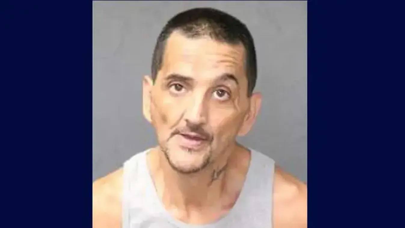 Idős nő emberi maradványaira bukkantak egy fagyasztóban, fia végzett vele