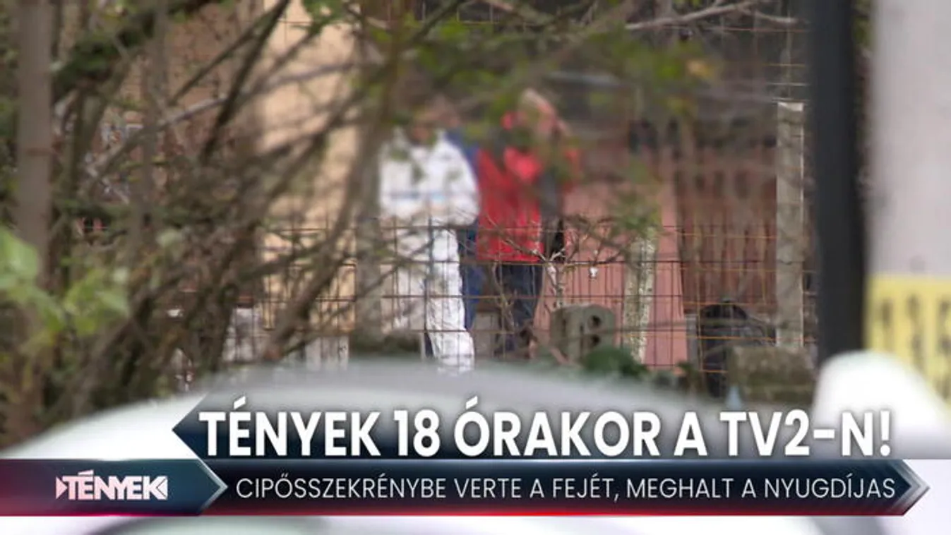 Cipősszekrénybe verhette az idős nő fejét - Tények 18.00