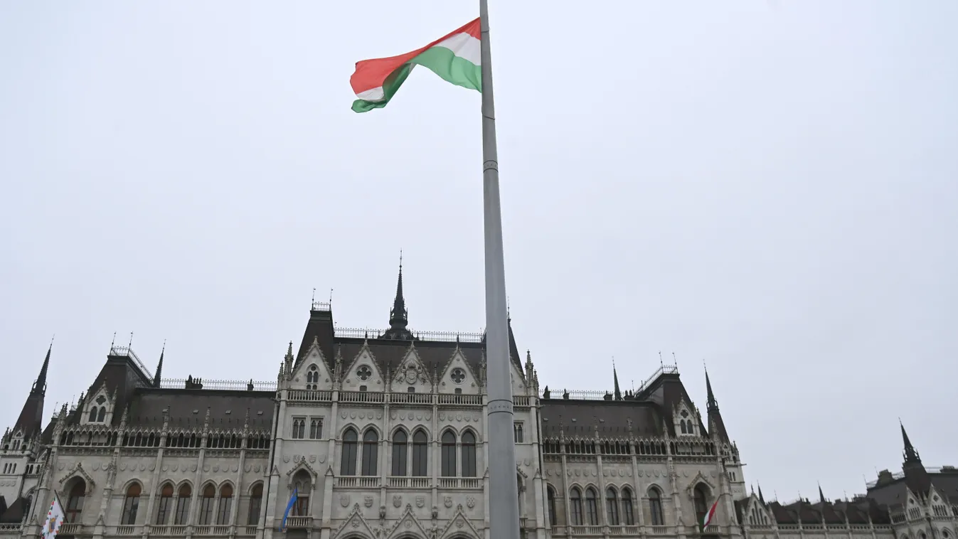 Lehull a lepel: megvan az ország karácsonyfája