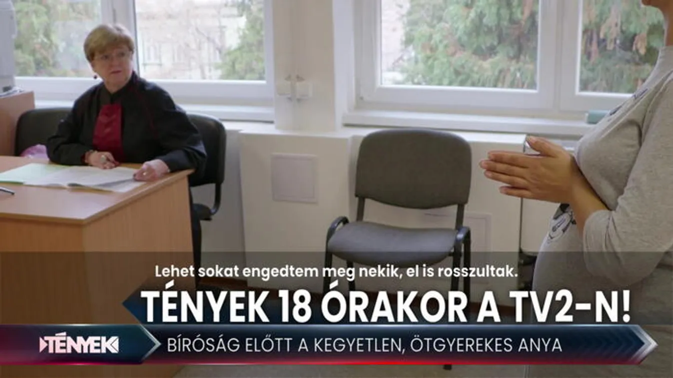 Bíróság előtt a gyerekeit sanyargató nő - Tények 18.00