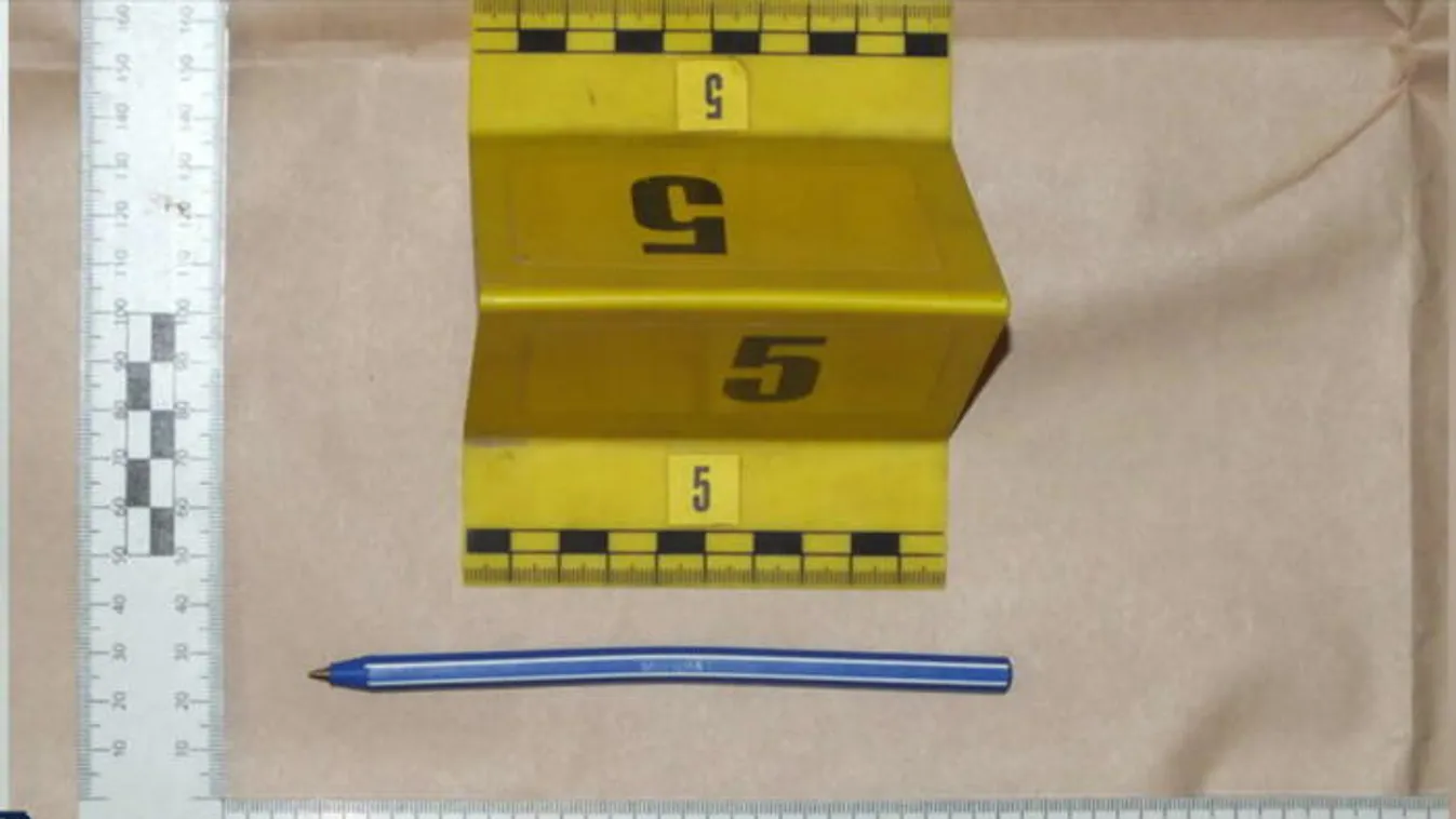 Tollal szúrta szemen alvó betegtársát