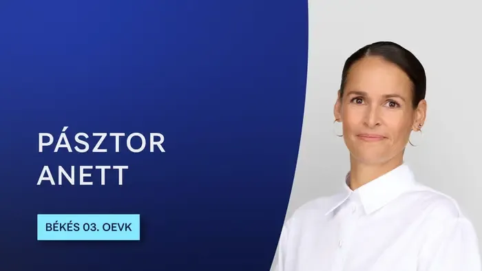 Az egyik Tisza-jelölt – aki bejutott a második fordulóba – illegális iskolát üzemeltethetett