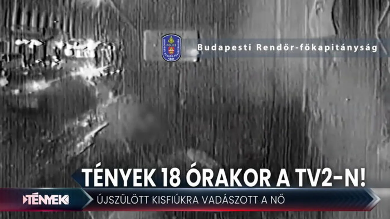 Az interneten vadászott újszülött kisfiúkra - Tények 18.00