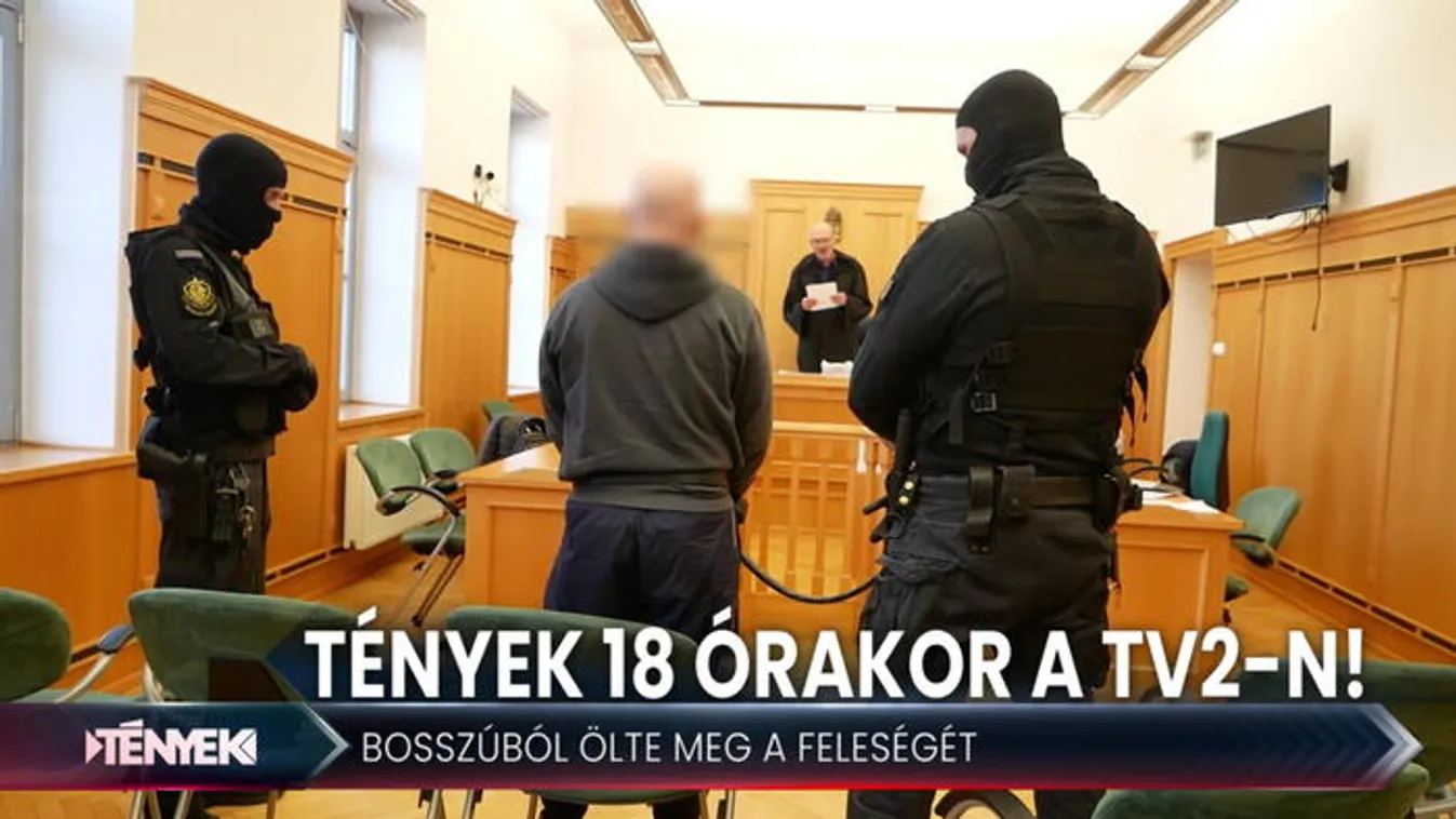 Szabadult a börtönből, megölte a feleségét - Tények 18.00