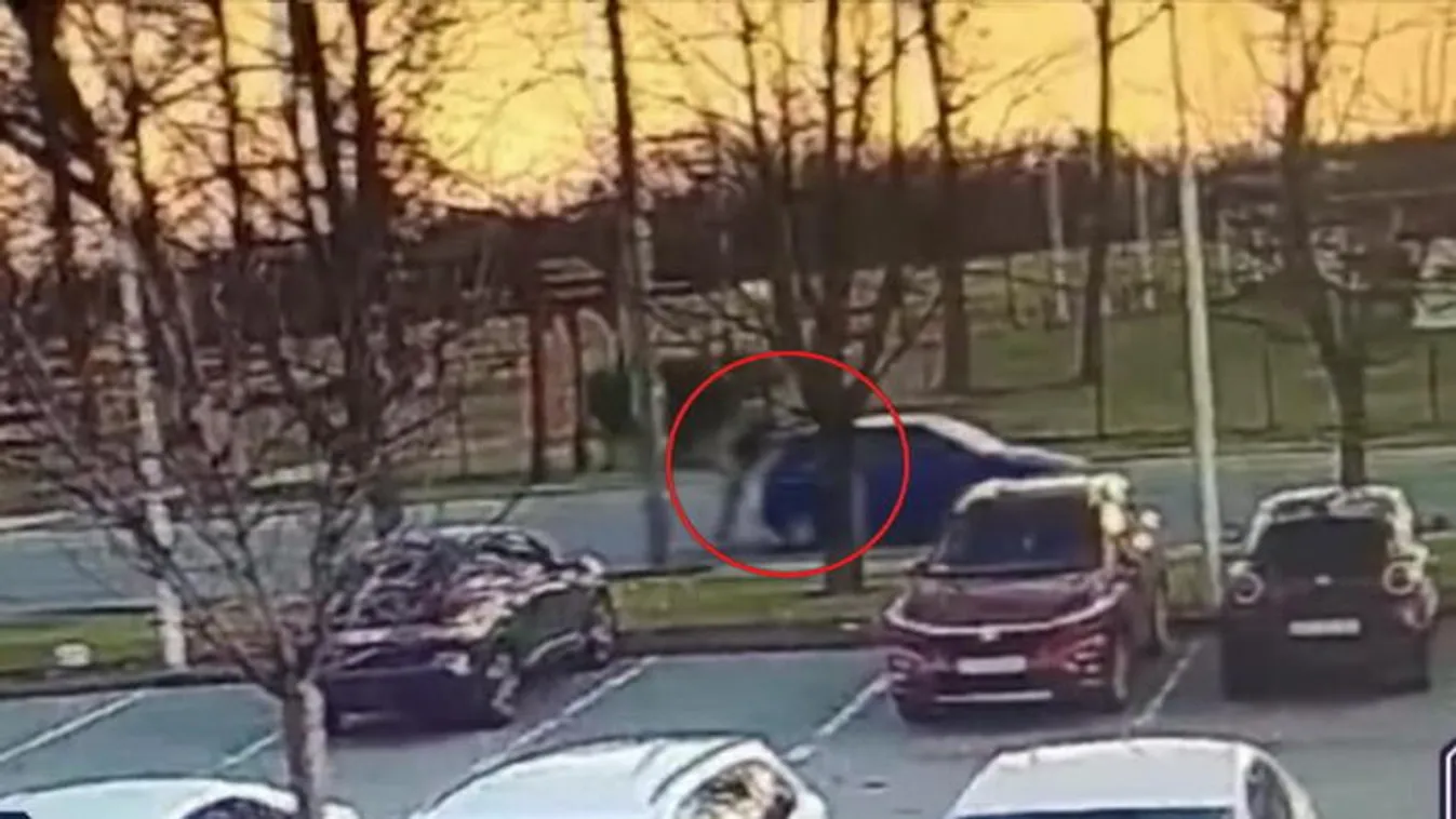 Bedrogozva ugrott fel az autóra a férfi