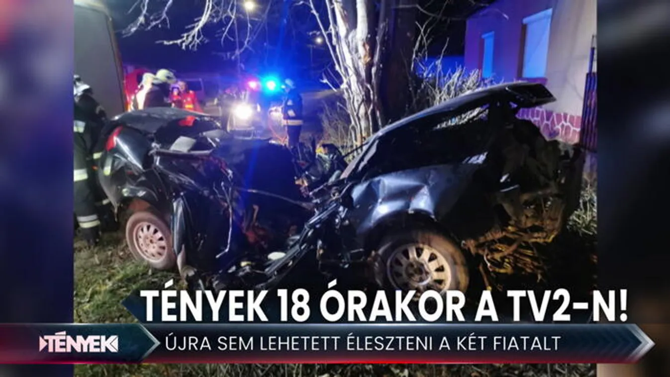 Hatalmas sebességgel csapódtak fának - Tények 18.00