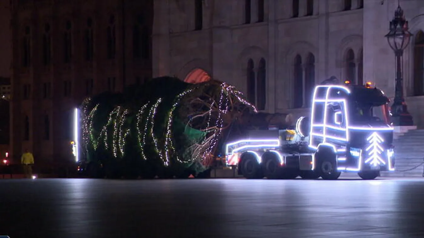 Megérkezett az ország karácsonyfája